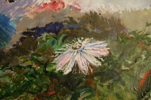 passion flower detail